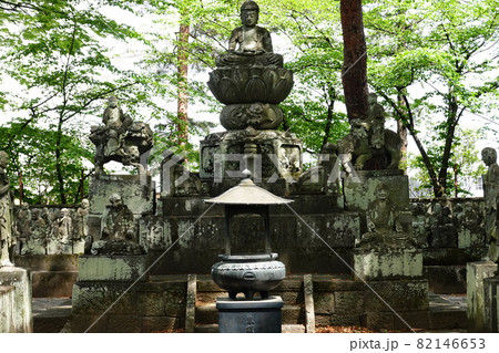 五百羅漢 82146653