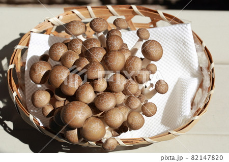 天日干し 天日干し 82147820