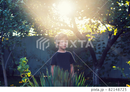 Little boy in garden 82148725