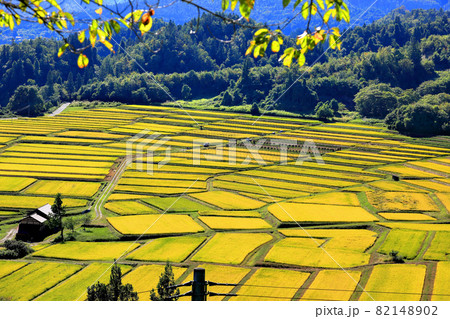 日本の棚田百選 椹平の棚田 日本の棚田百選 椹平の棚田 82148902
