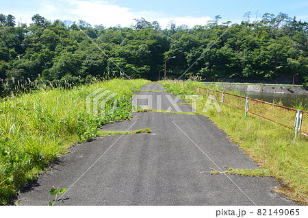 雑草･アスファルト道路（村田ダム／宮城県柴田郡村田町足立） 82149065