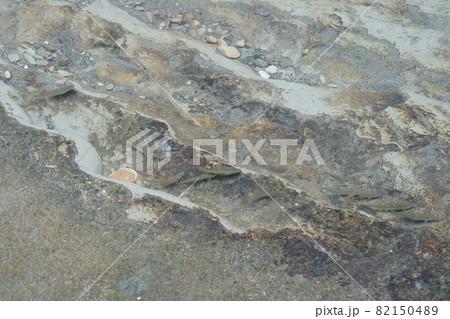 川の小魚 82150489