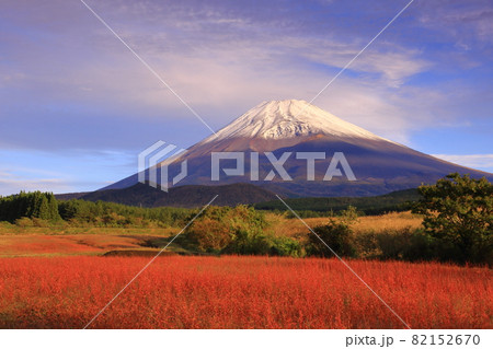 三段雲影写る富士と草津紅葉 三段雲影写る富士と草津紅葉 82152670