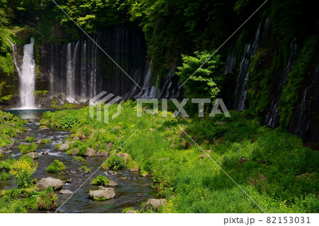 白糸の滝 白糸の滝 82153031