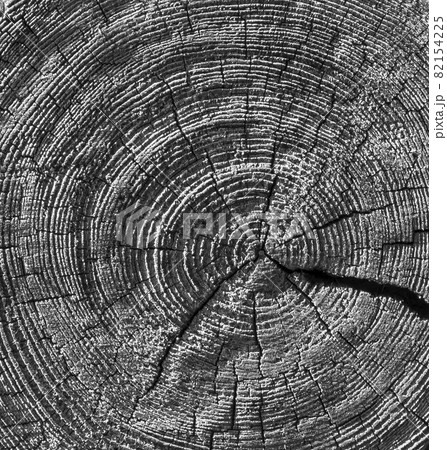 Cross section of the old tree color Cross section of the old tree color 82154225