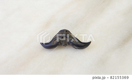 Flat lay of a single water caltrop, with the horns facing down in a mustache shape.  Water caltrop, also known as trapa, is an edible aquatic crop. 82155369