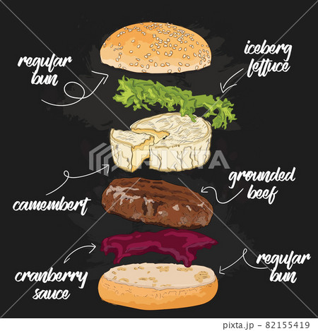 Hand Drawn Colorful Beef and Camembert cheeseburger Flying Ingredients Hand Drawn Colorful Beef and Camembert cheeseburger Flying Ingredients 82155419