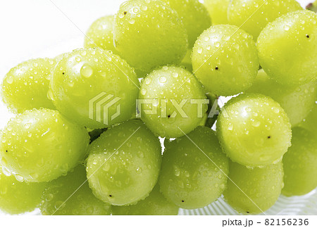 シャインマスカット 82156236