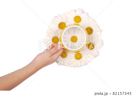 Empty yellow tea cup with chamomile flowers Empty yellow tea cup with chamomile flowers 82157345