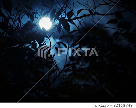 気味悪い満月2 気味悪い満月2 82158748