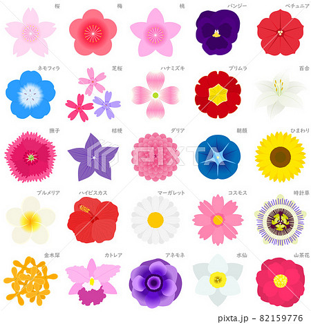花のイラストセット 花のイラストセット 82159776