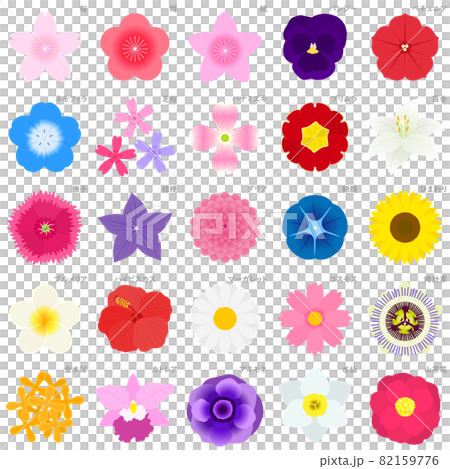 花のイラストセット 花のイラストセット 82159776
