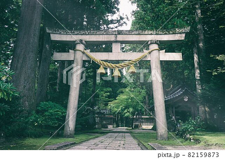 神秘的な鳥居 神秘的な鳥居 82159873