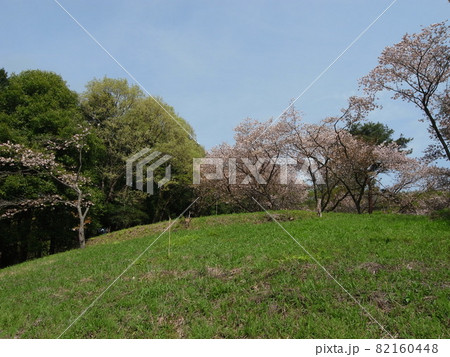茨城県民の森 82160448