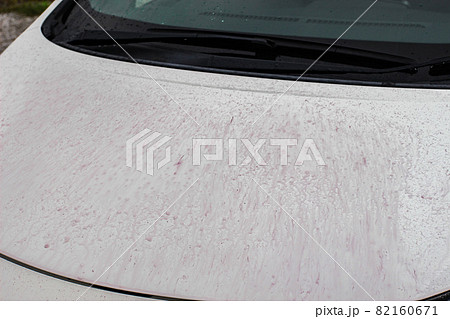 鉄粉除去剤をかけてボディーに紫色に浮き出る鉄粉 鉄粉除去剤をかけてボディーに紫色に浮き出る鉄粉 82160671