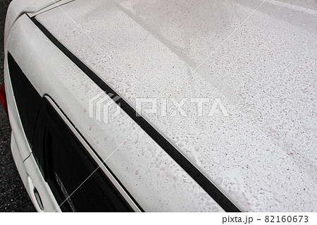 鉄粉除去剤をかけてボディーに紫色に浮き出る鉄粉 82160673