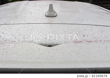 鉄粉除去剤をかけてボディーに紫色に浮き出る鉄粉 鉄粉除去剤をかけてボディーに紫色に浮き出る鉄粉 82160678