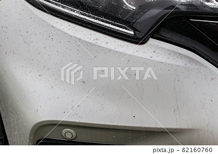 鉄粉除去剤をかけてボディーに紫色に浮き出る鉄粉 82160760