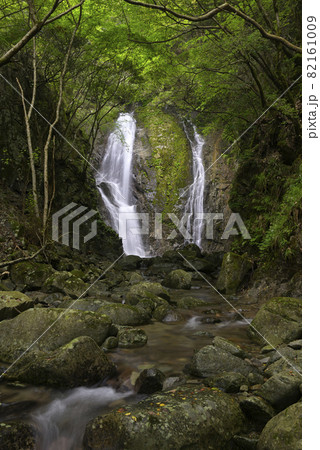 永禅の滝(滋賀県東近江市永源寺高野町) 永禅の滝(滋賀県東近江市永源寺高野町) 82161009