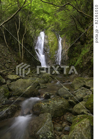 永禅の滝（滋賀県東近江市永源寺高野町） 82161010