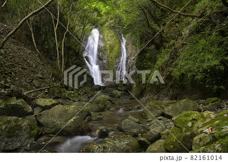 永禅の滝（滋賀県東近江市永源寺高野町） 82161014