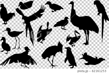 鳥類各種剪影 82161253
