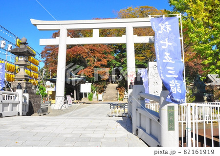 神奈川県藤沢市　白幡神社鳥居と紅葉に覆われた参道と青空 82161919