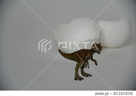 恐竜と卵の殻 恐竜と卵の殻 82162058