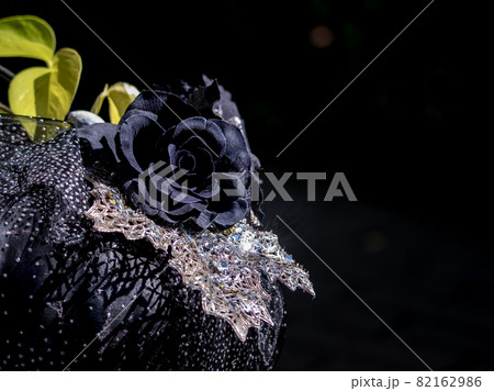 ガーデンのハロウィーン ガーデンのハロウィーン 82162986