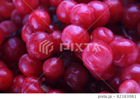 Schisandra chinensis background 82163061