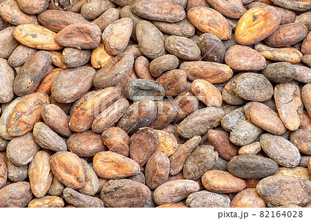 Raw cocoa beans top view. Chocolate cocoa beans background. Raw cocoa beans top view. Chocolate cocoa beans background. 82164028