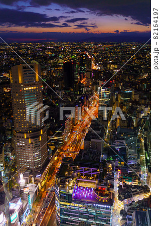 東京　渋谷・世田谷方面の夜景 82164197