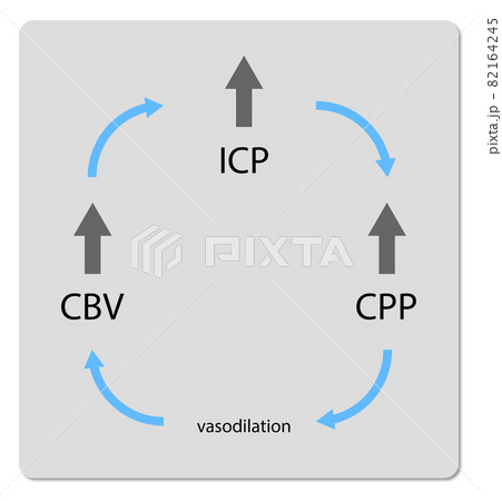 Cerebral Blood Flow, Intracranial pressure, Cerebral Perfusion Pressure, 2d graphic, 82164245