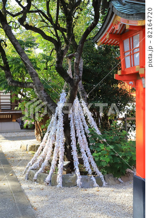 馬橋稲荷神社（まばしいなりじんじゃ）　おみくじ 82164720