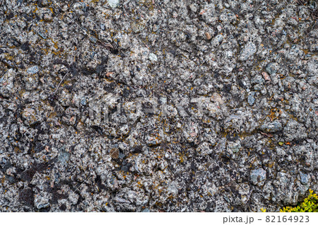 Background with granite stone overgrown with various moss Background with granite stone overgrown with various moss 82164923
