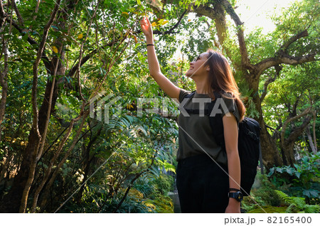 Low angle view of young women backpacker in green forest with golden sunlight , inspiration , motivation and camping concept 82165400