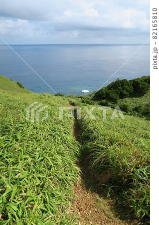 宮古崎ササント 鹿児島 宮古崎ササント 鹿児島 82165810