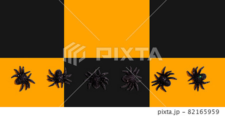 Halloween black spiders 82165959
