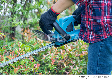 Gardener holding electric hedge trimmer to cut the treetop in garden. Gardener holding electric hedge trimmer to cut the treetop in garden. 82167102
