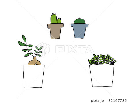 観葉植物・ガジュマル・サボテン 観葉植物・ガジュマル・サボテン 82167786