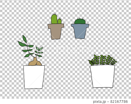 観葉植物・ガジュマル・サボテン 観葉植物・ガジュマル・サボテン 82167786