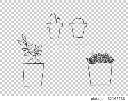 観葉植物・ガジュマル・サボテン・モノクロ 82167788