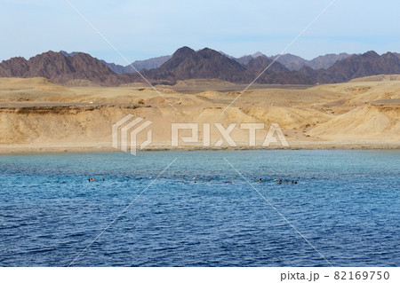 Snorkeling tourists in Ras Muhammad National Park, Sharm el Sheikh, Egypt 82169750