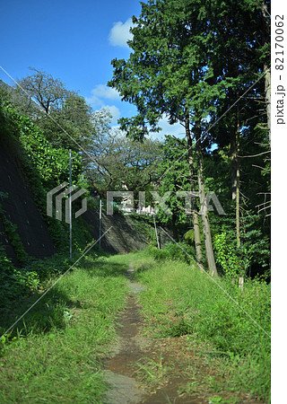 旧大山街道長津田宿を行く 旧大山街道長津田宿を行く 82170062