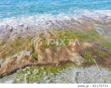 Rocky coast of the mediterranean sea with slippery green algae Rocky coast of the mediterranean sea with slippery green algae 82170733