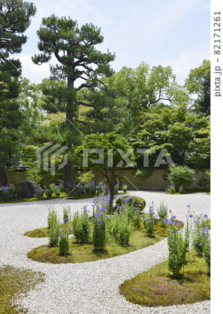 廬山寺 源氏庭 京都市上京区 廬山寺 源氏庭 京都市上京区 82171261