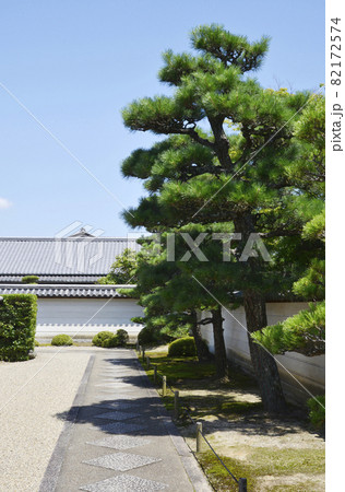 法華寺　境内　奈良市 82172574