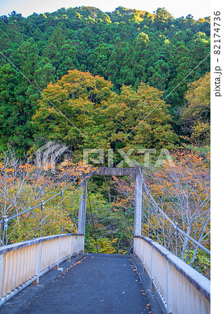 三波石峡 そうせき橋 秋の風景 紅葉の季節 三波石峡 そうせき橋 秋の風景 紅葉の季節 82174736