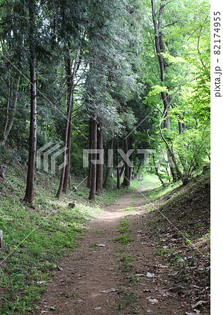 飛山城跡 82174955