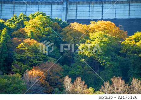 三波石峡　下久保ダム下　秋の風景　　　 82175126